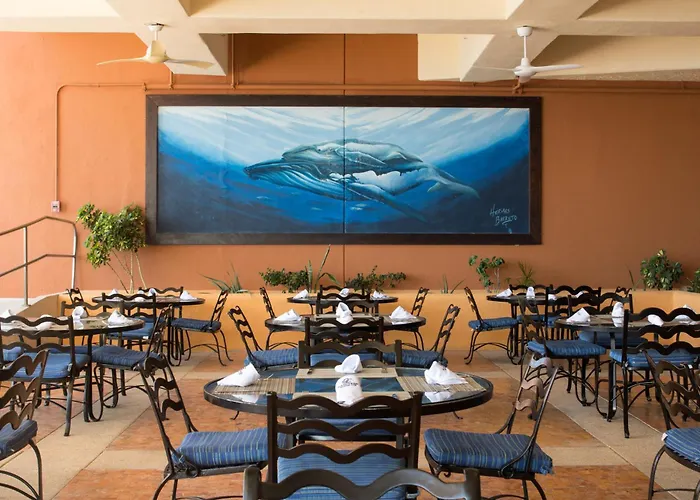 Club Regina Cabos Hotel San Jose del Cabo
