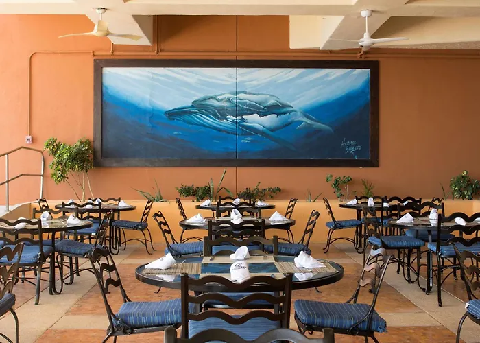 Club Regina Cabos 4*