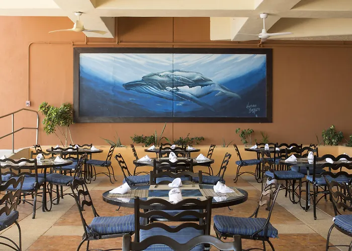 Club Regina Cabos